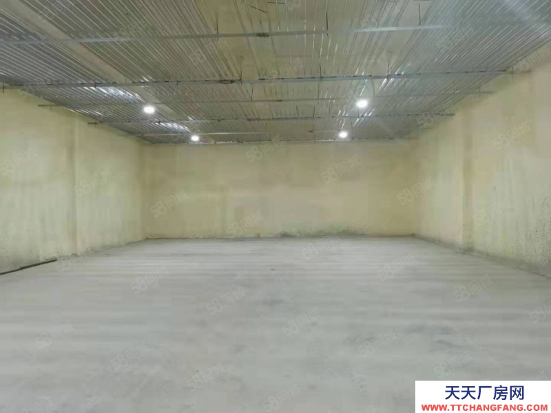 青島黃島區(qū)前灣港250平400平600平倉庫冷庫出租 可整租