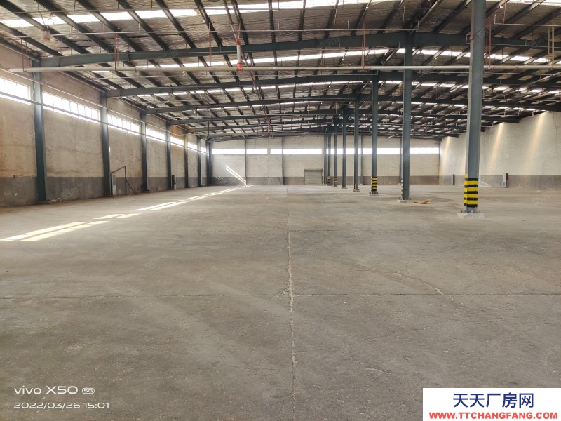 青島黃島前灣港路，科技大學(xué)南門附近6000平方廠房出租