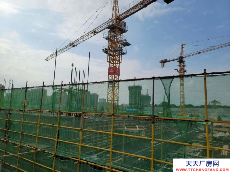 青島嶗山企業獨棟辦公樓1500平，3000平 可辦證 可貸款。