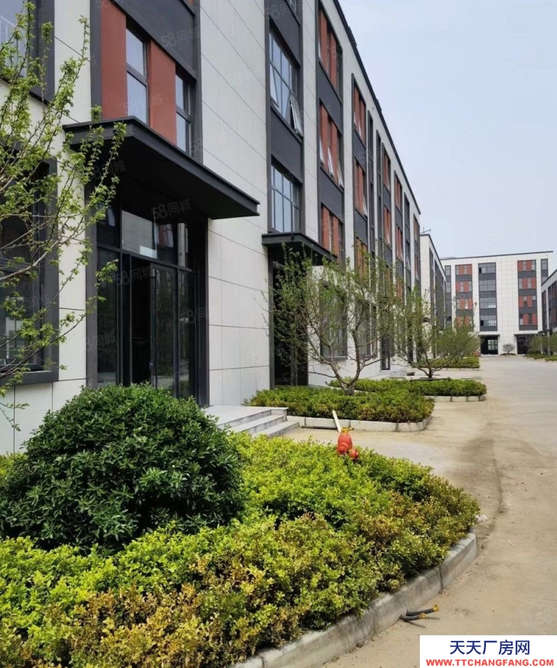 青島嶗山BOE青島產業園 定制化廠房 1200平到3萬平