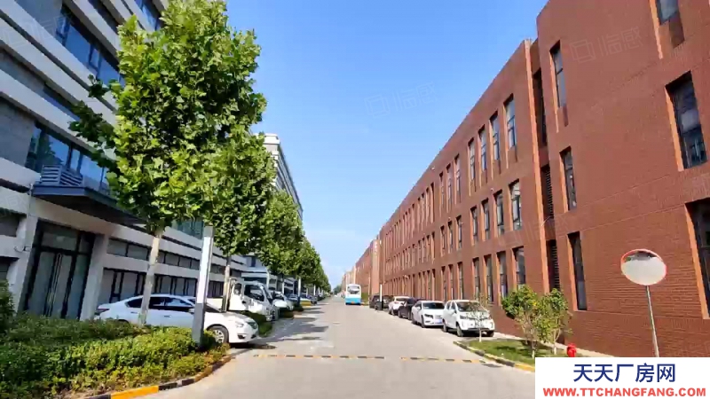 青島嶗山兩層工業獨棟 食堂物業齊全 研產辦一體