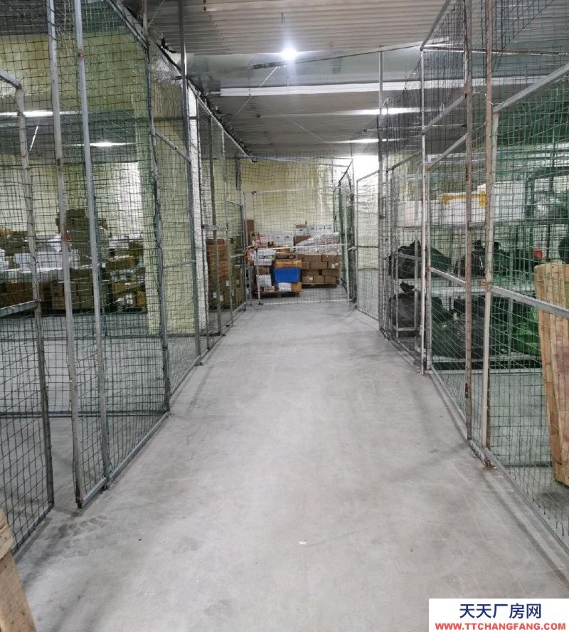 青島嶗山區株洲路冷庫出租 可分割