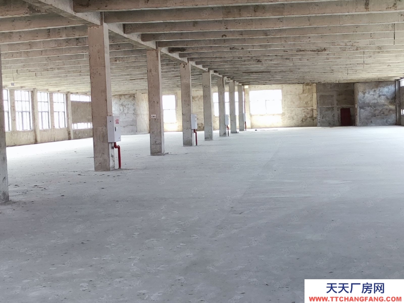 (出租) 重慶銅梁開發商直租廠房，園區交通方便，好招工費用低