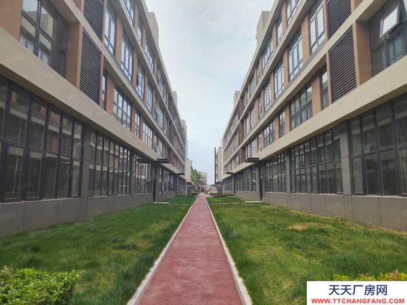 青島李滄3000平標準廠房低價出租出售！非中介