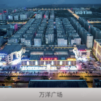 (出售)重慶銅梁 3000畝政企聯合園區，定制廠房