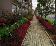 (出租) 武漢黃陂橫店帶行吊工業(yè)廠房火熱招租 可分租