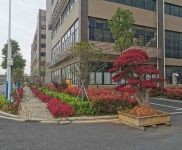 (出租) 武漢黃陂橫店帶行吊工業(yè)廠房火熱招租 可分租