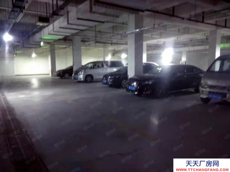 青島李滄唐山路黑龍江中路負一層2500平出租帶停車場地
