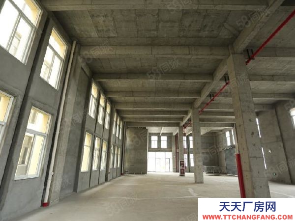 南京市建鄴區長蘆街道旁高標準廠房，50年產權，可按揭，可環評