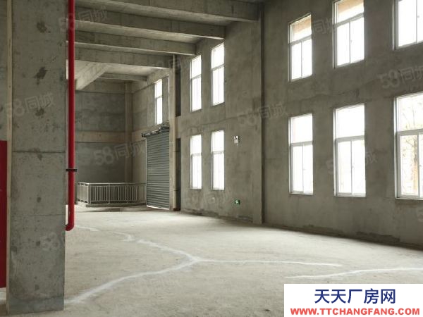 南京市建鄴區長蘆街道旁高標準廠房，50年產權，可按揭，可環評