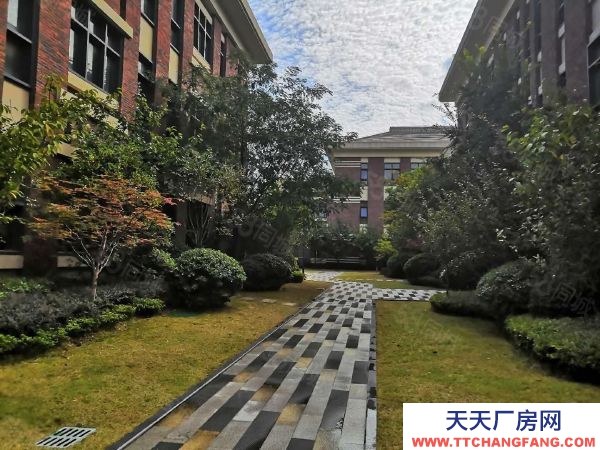 南京市建鄴區研發辦公單層廠房，稅收減免，人才扶持