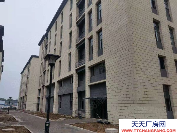 南京市建鄴區七月啟動，2000平獨棟單價6000！近地鐵