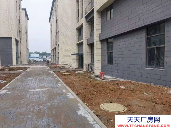 南京市建鄴區七月啟動，2000平獨棟單價6000！近地鐵