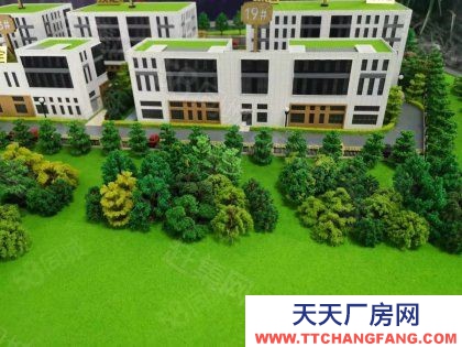 南京市建鄴區地鐵口1千平花園獨棟出售一樓8米三樓送大露臺均價5千首付三成