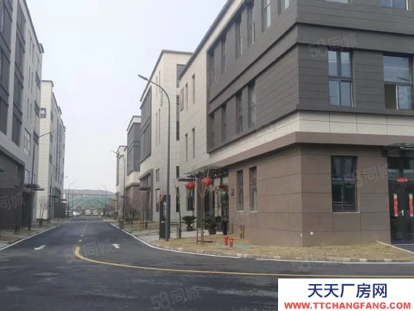 南京市建鄴區地鐵口1千平花園獨棟出售一樓8米三樓送大露臺均價5千首付三成