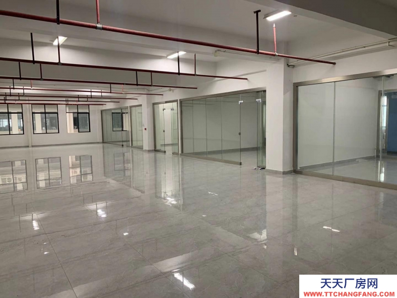 南寧市西鄉塘區(出租) 國企，和泰工業園、正鑫科技園