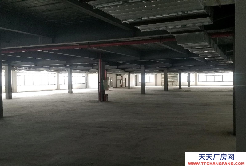 南寧市西鄉塘區(出租) 國企,和泰工業園、正鑫科技園