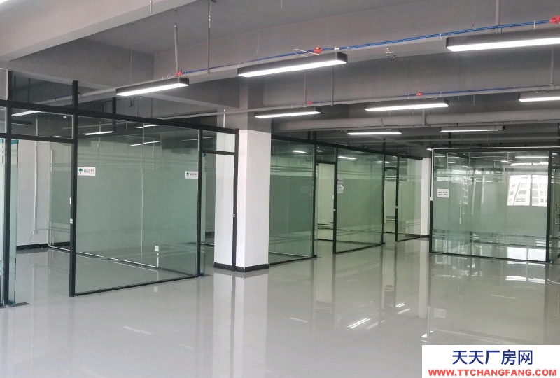 南寧市西鄉塘區(出租) 國企,和泰工業園、正鑫科技園