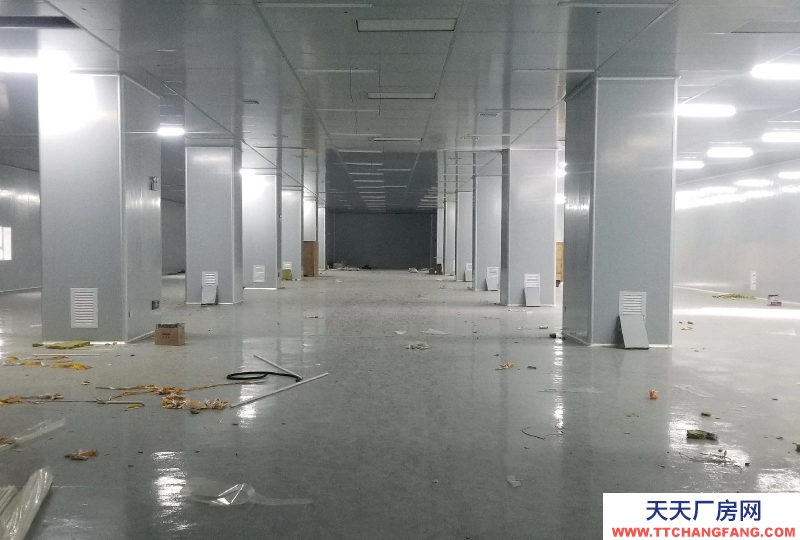 南寧市西鄉塘區(出租) 國企,和泰工業園、正鑫科技園