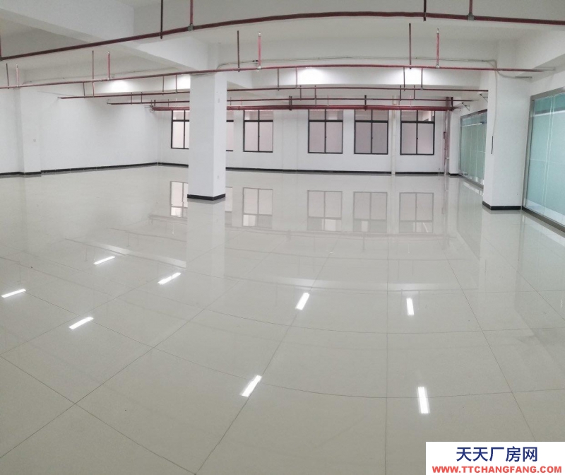 南寧市西鄉(xiāng)塘區(qū)(出租) 和泰工業(yè)園,正鑫科技園,每個(gè)月享受1500元補(bǔ)貼。