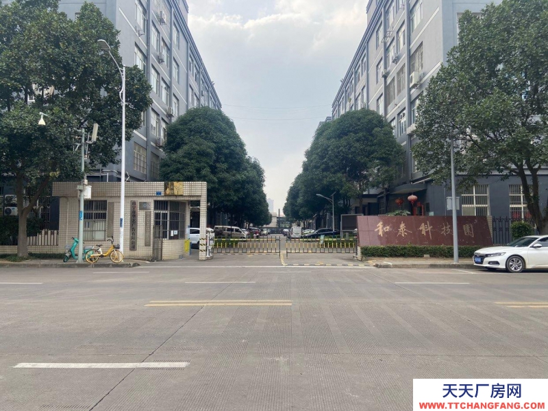 南寧市西鄉(xiāng)塘區(qū)(出租) 和泰工業(yè)園,正鑫科技園,每個(gè)月享受1500元補(bǔ)貼。