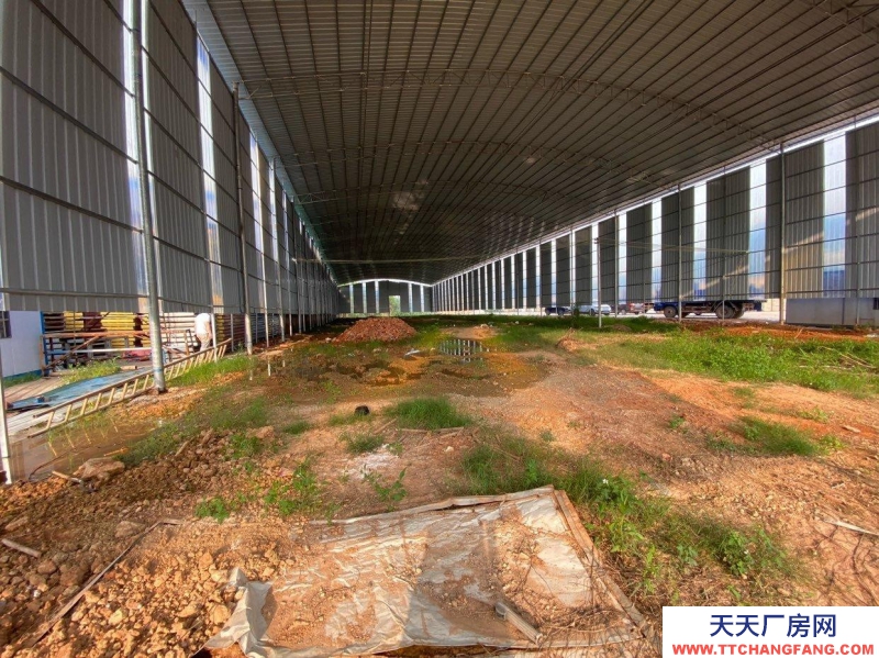 南寧市西鄉(xiāng)塘區(qū)(出租) 石埠廠房，倉庫招租，交通便利。