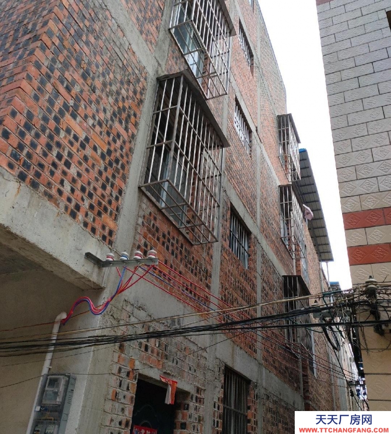 南寧市西鄉塘區(出租) 南寧高新區明華村劉屋坡