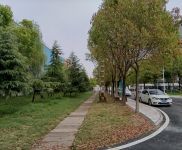 (出租) 武漢新洲國企園區(qū)有保障 可提供個(gè)性化服務(wù)