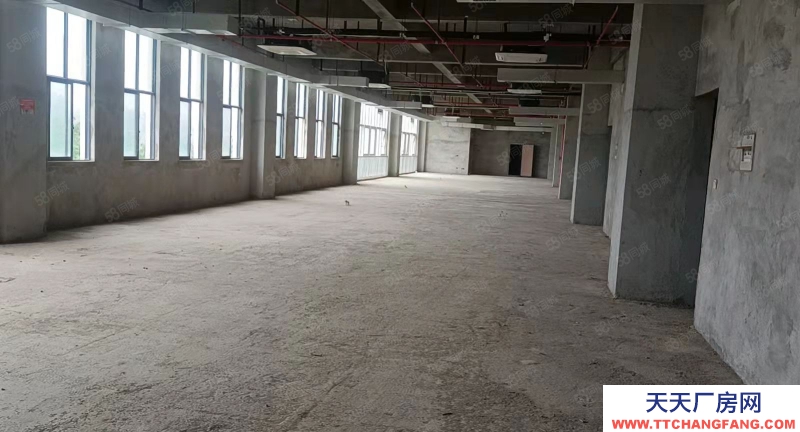 南寧市西鄉塘區(出租) 特惠房源出租 10元一平起租 標準廠房 還剩少量房源可租