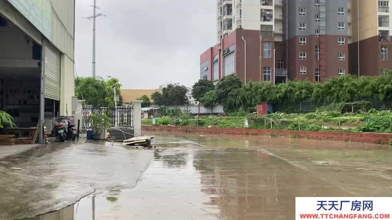 南寧市西鄉塘區(出租) 安武大道安武建材城新推二期路邊商鋪式廠房！！！！