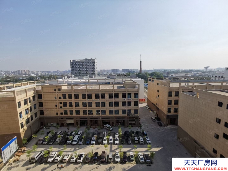 南寧市西鄉塘區(出租) 特惠房源出租 10元一平起租 標準廠房 還剩少量房源可租