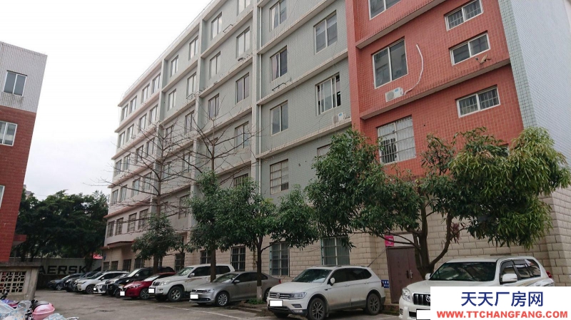 南寧市西鄉塘區(出租) 心圩西十路26號廠房出租，租金低