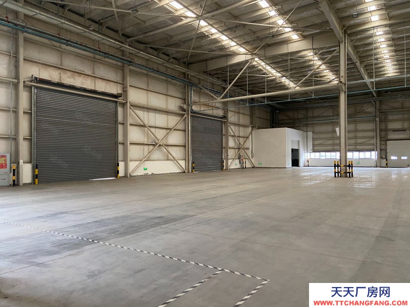 (出租) 重慶江北港城工業(yè)園區(qū)標(biāo)準(zhǔn)鋼結(jié)構(gòu)5000平米廠房 層高11米