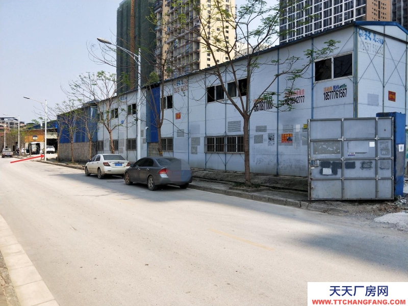 南寧市西鄉(xiāng)塘區(qū)(出租) 倉庫廠房出租,豐達路支路邊(皇氏乳業(yè)正門對面)