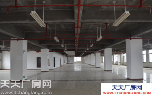 長沙市雨花區標準廠房辦公樓3000平米出租
