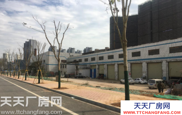 長沙市雨花區高橋附近若干廠房招租