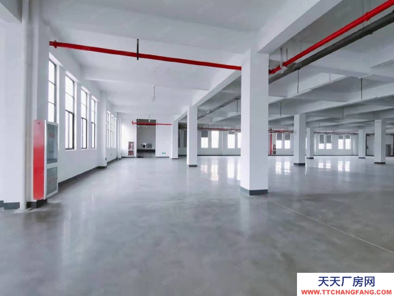 杭州余杭(出租) 良渚新出一樓580方廠房 可輕加工 倉儲 辦公研發 價格美麗
