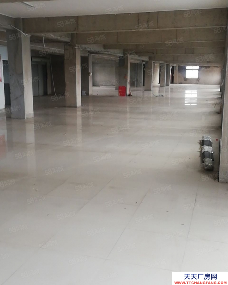 (出租)南昌西湖區(qū) 銀燕物流基地有限公司倉庫招租(可分隔)