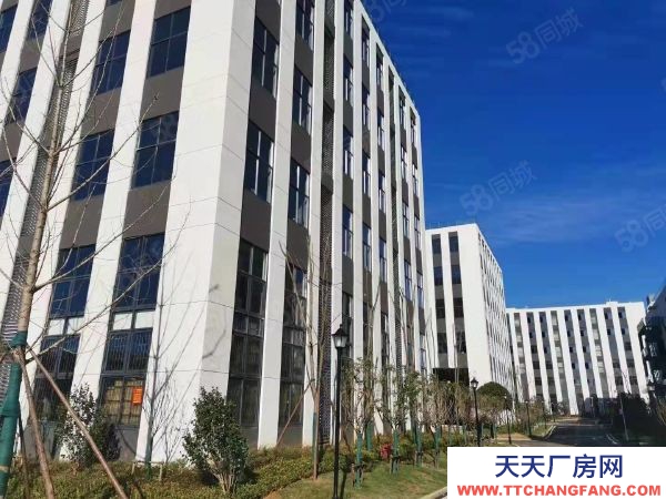 長沙市雨花區現房廠房出售 300平產研辦一體 可倉庫 無中介費