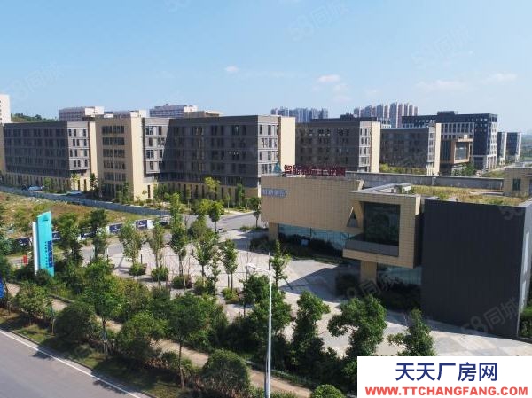 長沙市雨花區國際創新城寫字樓 廠房 倉庫 出租出售！