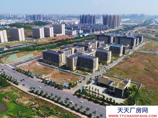 長沙市雨花區國際創新城寫字樓 廠房 倉庫 出租出售!