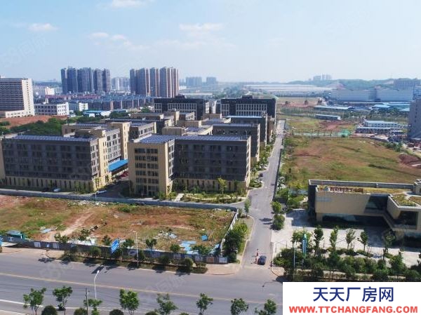 長沙市雨花區國際創新城寫字樓 廠房 倉庫 出租出售!