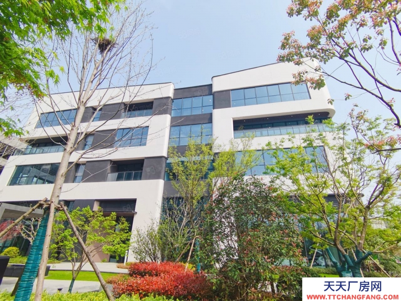 (出租) 安徽包河工業(yè)園區(qū) 成熟園區(qū) 花園式連廊獨棟 總部辦公集群 科技園