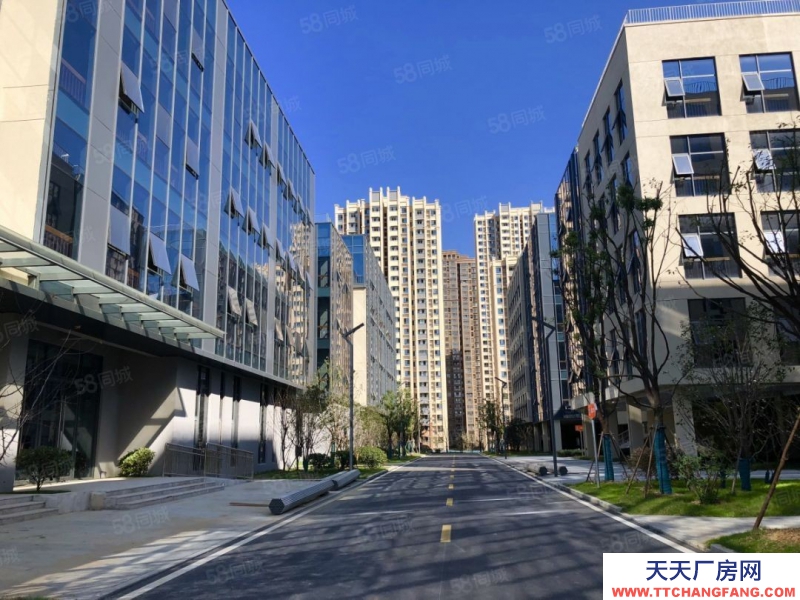 (出租) 安徽包河政府招商包河區政府園區招商研發辦公廠房出租高企可享受房租補貼