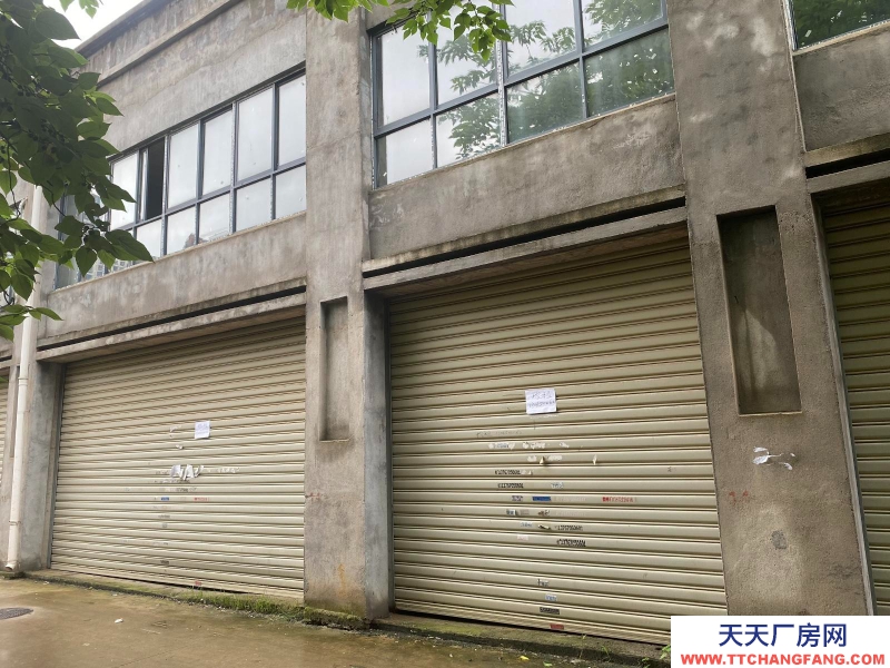 (出租) 南昌青云譜區(qū)出租墅溪公寓商鋪當(dāng)倉(cāng)庫(kù)租300平