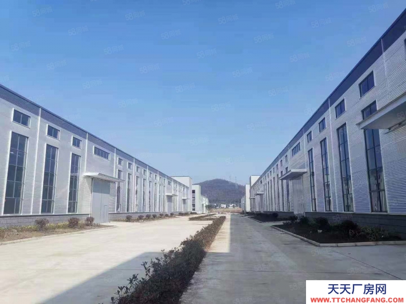 (出售) 合肥包河循環(huán)園旁獨(dú)棟廠房在售，層高7.8米，低首付