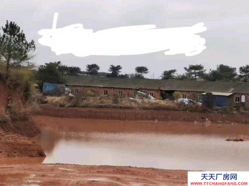 (出租) 南昌新建區(qū)養(yǎng)殖廠，硬件設(shè)施齊全