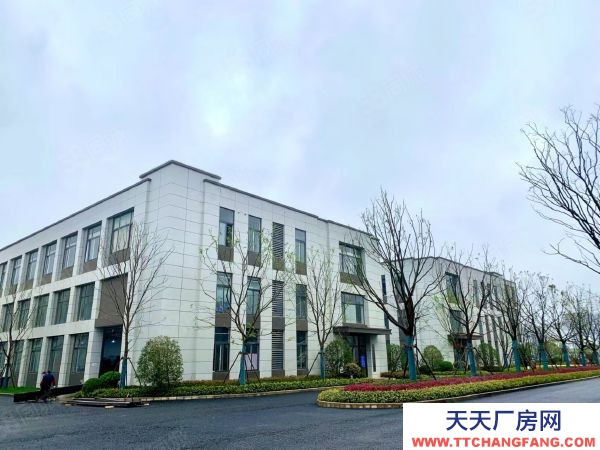 (出售) 南昌新建區獨棟兩層廠房,首付2成,層高8米,50年產權全新現房