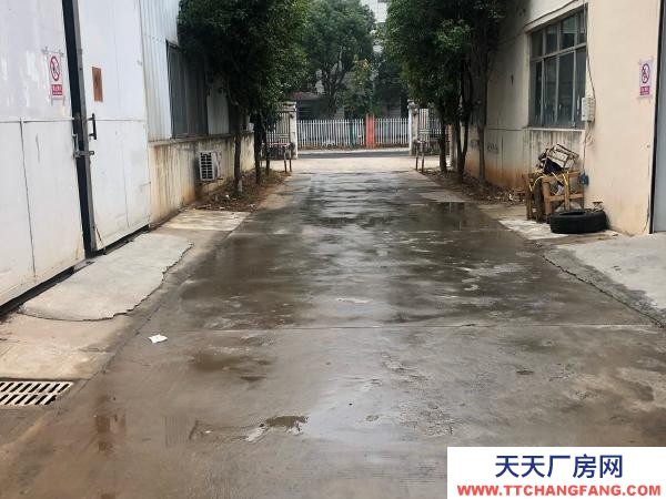 (出租)南昌新建區 在雷家路上 很安靜 環境也不錯