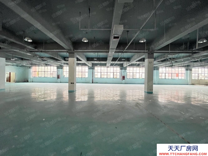 (出租) 合肥包河青網科技園招商部直租350平至2000平